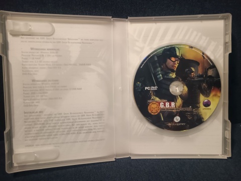 GBR Grupa Błyskawicznego Reagowania