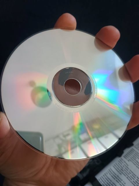 Outlive i Dogs of War